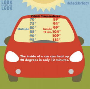 The inside of a car can heat up 20 degrees in only 10 minutes